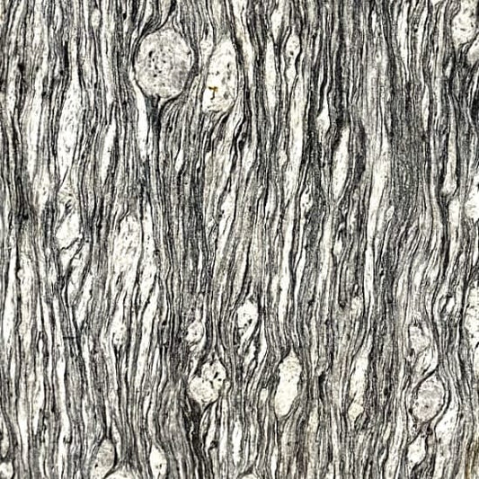 Tiger Skin